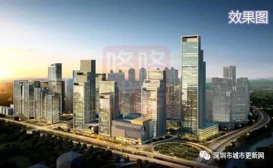 深圳罗湖最新爆料,揭秘深圳罗湖最新爆料背后的故事