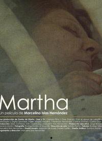 最新玛莎爆料视频播放大全,揭秘娱乐圈幕后真相