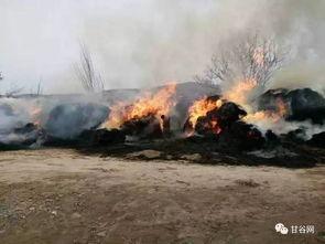 陆川最新火灾爆料,揭秘火灾背后惊人真相