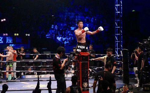 邱建良最新爆料,揭秘幕后真相与未来动向